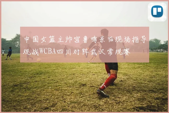 中国女篮主帅宫鲁鸣亲临现场指导观战WCBA四川对阵武汉常规赛